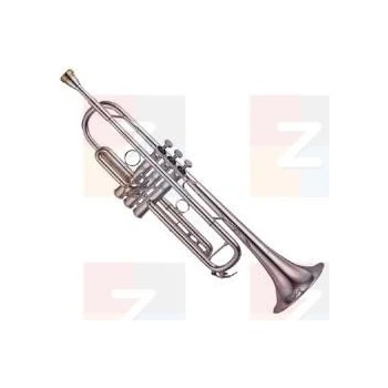 Yamaha YTR 8335RGS