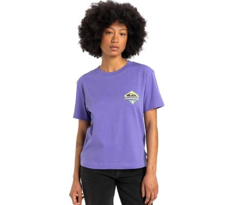 Quiksilver Standard