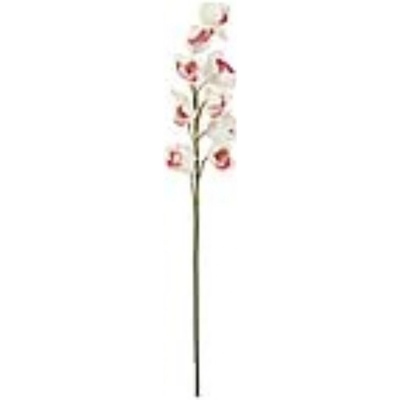 Orchidej větvička, bílo-růžová, 90 cm