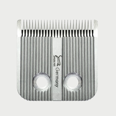 Jaguar 85621 CM2000 – Sleviste.cz