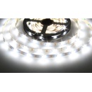 T-LED 078113