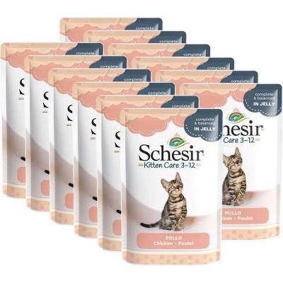 Schesir коте малки пилешки филета 12 x 85 г