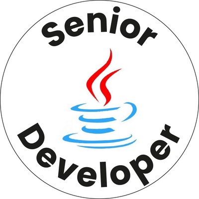 Developer placka Senior Java Developer 37 mm