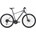 Giant Roam 2 Disc 2021