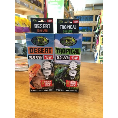 Reptile Nova žiarovka Desert UVB 10.0 25 W