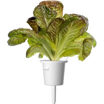 Click & Grow Семена Click and Grow Червена маруля Ромен, 3 броя (SGR94X3)