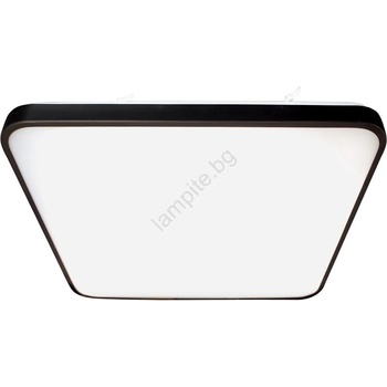 MILAGRO Fabio ML7935