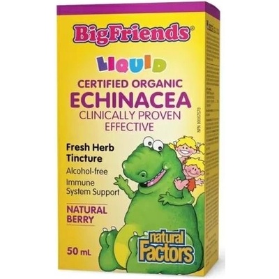 Big Friends Ехинацея, 1000 mg, 50 ml, Natural Factors (4729 NF)