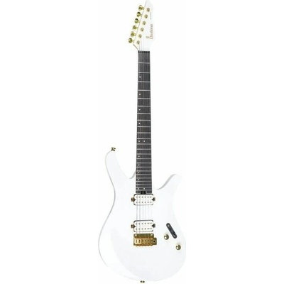 Divitone DSG-10