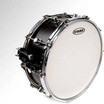Evans B12HDD