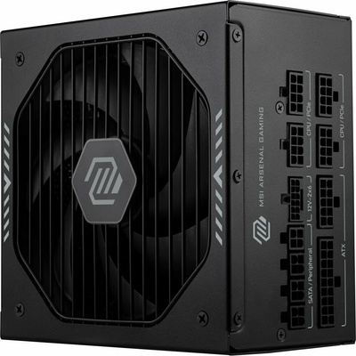 MSI MAG A1000GLS PCIE5 1000W 306-7ZPIX11-CE0