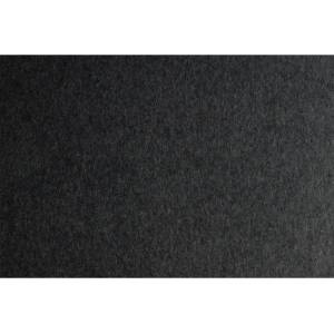 Fabriano Картон Colore, 50 x 70 cm, 200 g/m2, № 242, графит (42303242/2_FERRO)