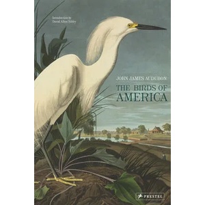 The Birds of America | John James Audubon, David Allen Sibley (ISBN: 9783791379142)
