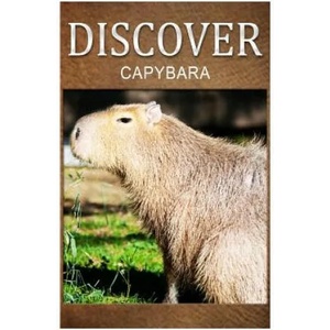 Capybara - Discover: Early reader's wildlife photography book | Discover Press (ISBN: 9781500384487)