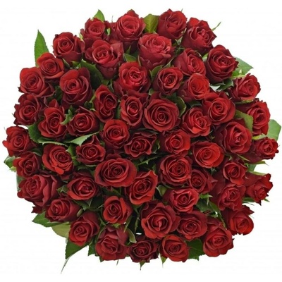 Kytice 55 červených růží SIMPLY RED 50 cm