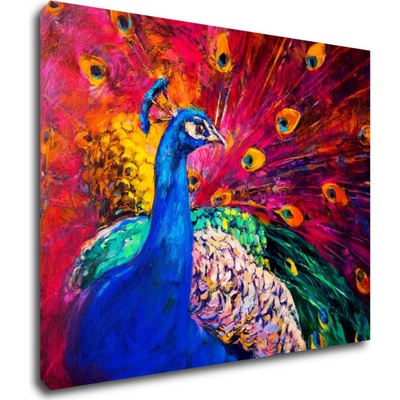 Impresi Obraz Barevný páv - 90 x 70 cm