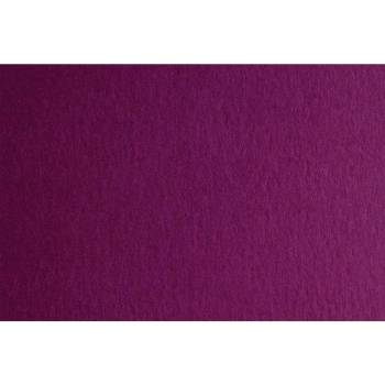 Fabriano Картон Colore, 50 x 70 cm, 200 g/m2, № 224, тъмноли (1530100087)