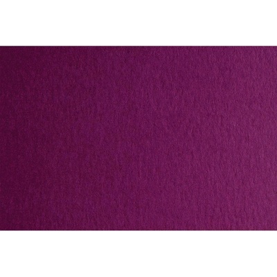 Fabriano Картон Colore, 50 x 70 cm, 200 g/m2, № 224, тъмноли (1530100087)