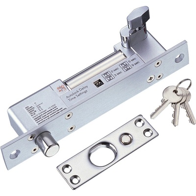 ZONEWAY Kombinovaný čapový zámok 12/24V | BL-2500B