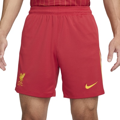 Nike Шорти Nike LFC M NK DF SHORT STAD HM 2024/25 fn8863-687 Размер L