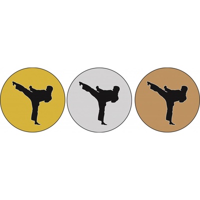 Karate MINI logo L1č.254