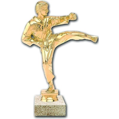 F1042 Soška karate muž