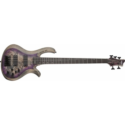 Schecter RIOT-5SARB