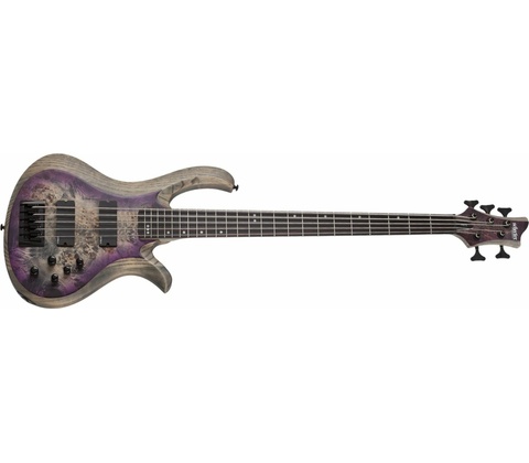 Schecter RIOT-5SARB