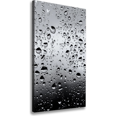 Vertikálny foto obraz na plátne do obývačky Kvapky vody 50x100 cm