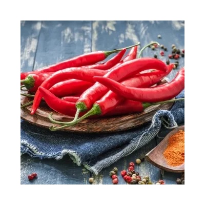 Seklos Лют пипер Посейдон Poseidon