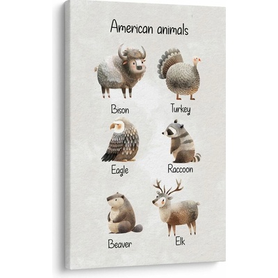 Obraz americké zvieratá v ilustrácii