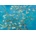 Bluebird Puzzle - Puzzle Vincent Van Gogh: Almond Blossom, 1890 - 1 000 piese