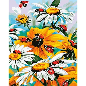 Gaira Malovanie podľa čísel Lúčne kvety