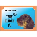 Ostatní pomůcky pro psy Dafiko Tabulka jezevčík drsnosrstý