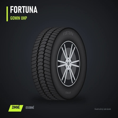 Fortuna Gowin UHP 205/55 R16 91V
