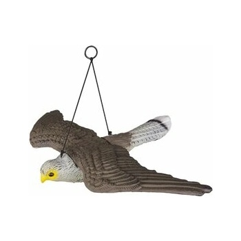 plašič vtáctva jastrab závesný