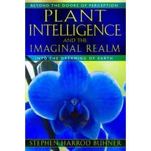 Plant Intelligence and the Imaginal Realm (2014)