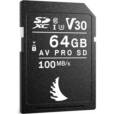 ANGELBIR AV PRO SD V30 64 GB