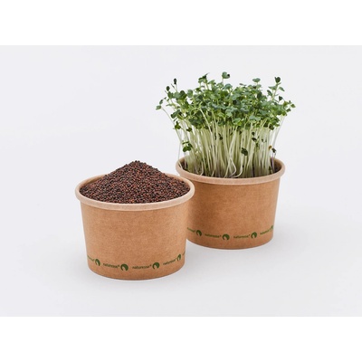 Tiny Greens Kapusta Repollo BIO semínka na klíčení a 200 g