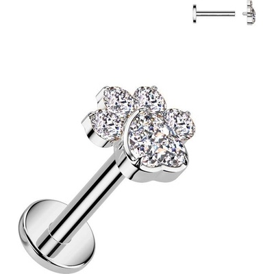 S4U Piercing do brady labreta tlapka TITAN (1,2 x 8 mm) TIT1423-1208