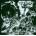CRAMPS: OFF THE BONE CD