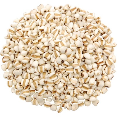 Vital Country Slzovka obecná 1 kg