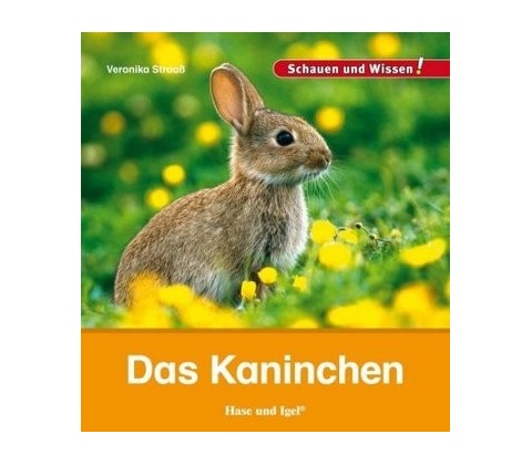 Das Kaninchen