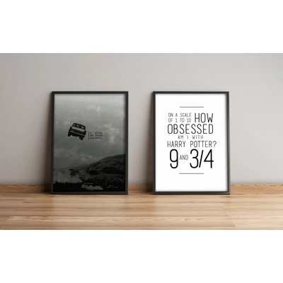 ASIR Obraz na MDF s rámem 2ks HARRY POTTER, POSEDLOST 36 x 51 cm