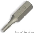 Bit Torx TX 10