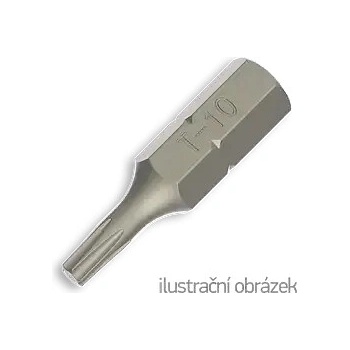 Bit Torx TX 10