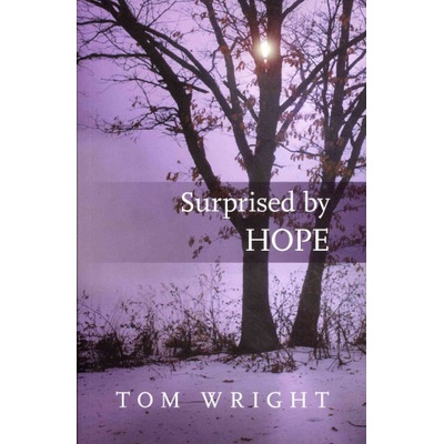Surprised by Hope | Tom Wright