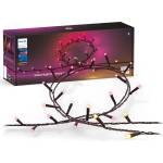 Philips Philips-LED RGBW димируема външна гирлянда HUE WACA 500xLED 44, 4 m IP54 (P5924)