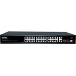 DPTEK DK100-24FP2G2S