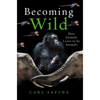 Becoming Wild - Carl Safina